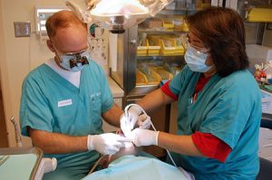Gentle Root Canal Therapy in Puyallup